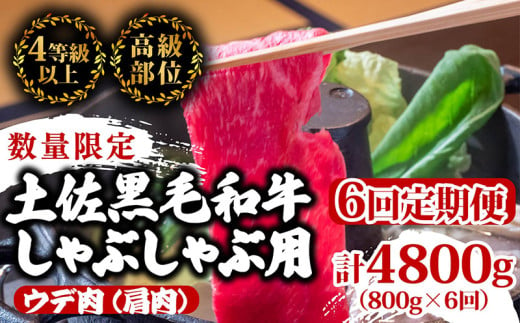 【定期便6回】土佐黒毛和牛ウデ肉しゃぶしゃぶ用 計4.8kg（800g×6ヶ月連続お届け) 3Aコース | 特撰 ウデ肉 肩肉 最上位等級 A4 A5 最高ランク 贅沢 しゃぶしゃぶ　鍋 スライス 焼肉用 小分け 冷凍 国産 牛肉 高知県 須崎 TM55000 1703599 - 高知県須崎市