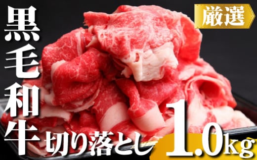 【黒毛和牛専門店直送】厳選黒毛和牛切り落とし 1.0kg（500g×2P 国産 牛肉 和牛 薄切り スライス 切り落とし 赤身 訳あり 特別提供） 1468482 - 宮崎県小林市