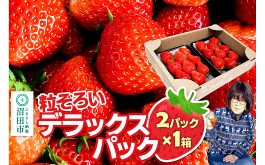 粒ぞろい「やよいひめ」デラックスパック 2パック×1箱 山口いちご園 902744 - 群馬県沼田市