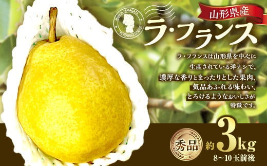 山形県産 ラ・フランス 約3kg 秀品 【2024年12月上旬～12月下旬発送予定】 洋梨 ラフランス 西洋梨 洋ナシ 洋なし ようなし 果物 くだもの フルーツ 山形 1549046 - 山形県白鷹町