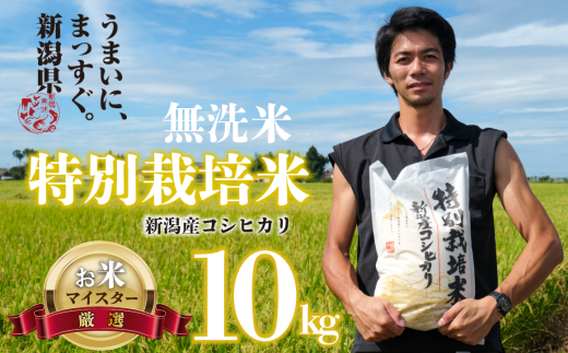 新米 無洗米 コシヒカリ 10kg 令和6年産 5kg×2袋 特別栽培米 こしひかり ご飯 備蓄 コメ お米 米 こめ しんまい 新潟産 新潟米 新潟県 新潟 新発田 新発田市 国産 斗伸 1510803 - 新潟県新発田市