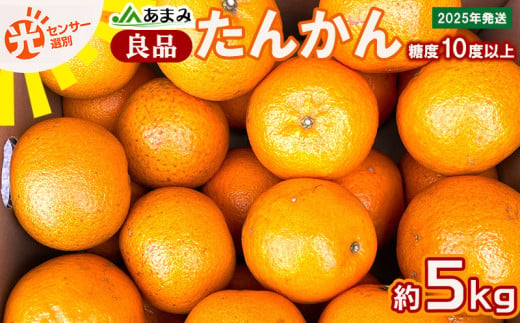 2025年発送【糖度10度以上】JAあまみ「良品」たんかん 約5kg 鹿児島県 奄美群島 奄美大島 龍郷町 国産 奄美産 青果 果物 くだもの フルーツ 柑橘 かんきつ みかん オレンジ ジューシー 光センサー選果 お取り寄せ 先行予約 期間限定 数量限定 1153878 - 鹿児島県龍郷町