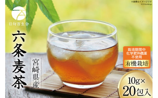 お茶 六条麦茶 10g 20包 [日向百生会 宮崎県 日向市 452061129] 麦茶 むぎ茶 水出し 煮出し ティーバッグ 国産 ノンカフェイン