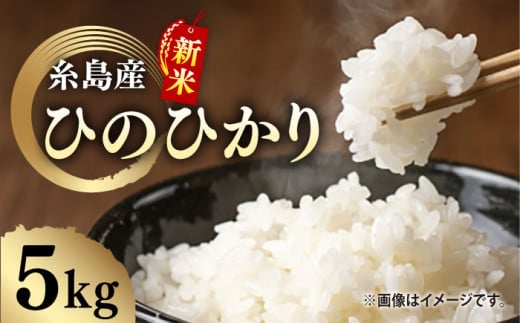 ＼令和6年産新米／糸島産 ひのひかり 5kg 糸島市 / 糸島ファーム青空 [ASM003] 白米 ヒノヒカリ 939303 - 福岡県糸島市