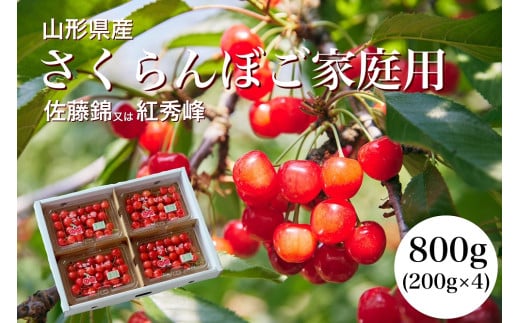 さくらんぼ（佐藤錦か紅秀峰）８００ｇ　ご家庭用　0052-2504 1554578 - 山形県上山市