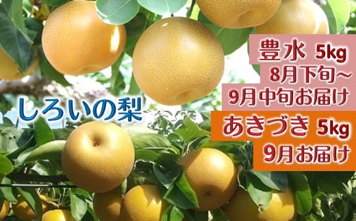 【先行予約】しろいの梨２品種セット豊水とあきづき 各5kg 1550169 - 千葉県白井市