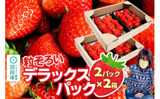 《2025年1月下旬以降発送》粒ぞろい「やよいひめ」デラックスパック 2パック×2箱 山口いちご園 902745 - 群馬県沼田市