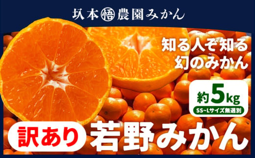 訳あり 若野みかん 約5kg サイズ無選別 圦本悟農園《12月上旬-2月中旬頃出荷》和歌山県 日高川町 旬 新鮮 果物 柑橘 フルーツ 国産 送料無料 ミカン みかん 温州みかん