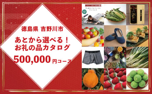 ゆっくりえらべる カタログ 50万円 コース あとから選べる 鮮魚 肉 米 酒 定期便 スイーツ フルーツ 選べる ギフト セレクト 【 徳島県 吉野川市 】 1756999 - 徳島県吉野川市