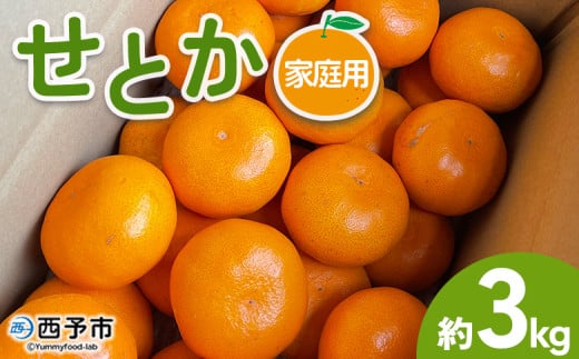 ＜せとか 家庭用 約3kg＞ 訳あり わけあり 自宅用 果物 フルーツ みかん ミカン 蜜柑 オレンジ 柑橘 セトカ ジューシー サイズ不揃い 食べて応援 特産品 柑橘園柴田 愛媛県 西予市【常温】