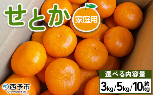 せとか 家庭用 約3kg/5kg/10kg 訳あり わけあり 自宅用 果物 フルーツ みかん ミカン 蜜柑 オレンジ 柑橘 セトカ 選べる ジューシー サイズ不揃い 食べて応援 特産品 柑橘園柴田 愛媛県 西予市[常温]