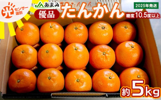 2025年発送【糖度10.5度以上】JAあまみ「優品」たんかん 約5kg 鹿児島県 奄美群島 奄美大島 龍郷町 国産 奄美産 青果 果物 くだもの フルーツ 柑橘 かんきつ みかん オレンジ ジューシー 光センサー選果 お取り寄せ 先行予約 期間限定 数量限定 1152448 - 鹿児島県龍郷町