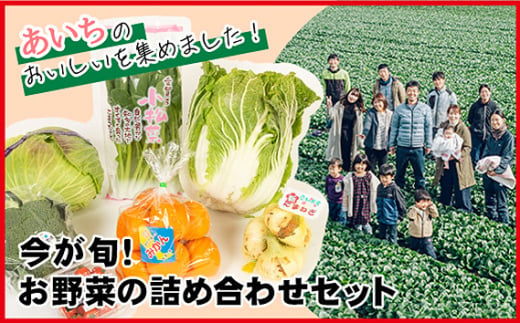 No.214 今が旬！お野菜の詰め合わせセット ／ 新鮮 季節の野菜 おまかせ たっぷり 愛知県 特産品