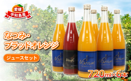 みかんジュース 果汁100% ストレート ジュース なつみ ブラッドオレンジ セット 720ml ×6本 えひめ南農業協同組合直販センター JA 飲料 柑橘 みかん 蜜柑  ストレートジュース 100%ジュース 果物 フルーツ  産地直送 数量限定 国産 愛媛 宇和島 H020-009009 1266159 - 愛媛県宇和島市