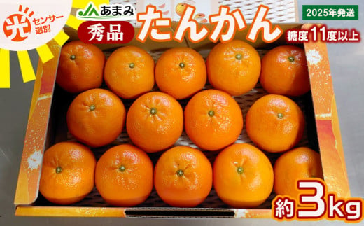 2025年発送【糖度11度以上】JAあまみ「秀品」たんかん 約3kg 鹿児島県 奄美群島 奄美大島 龍郷町 国産 奄美産 青果 果物 くだもの フルーツ 柑橘 かんきつ みかん オレンジ ジューシー 光センサー選果 お取り寄せ 先行予約 期間限定 数量限定 1152449 - 鹿児島県龍郷町