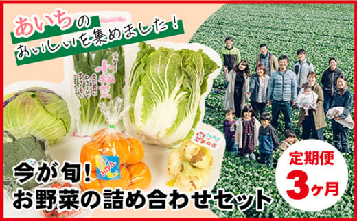 No.215 【3ヶ月定期便】今が旬！お野菜の詰め合わせセット ／ 新鮮 季節の野菜 おまかせ たっぷり 愛知県 特産品