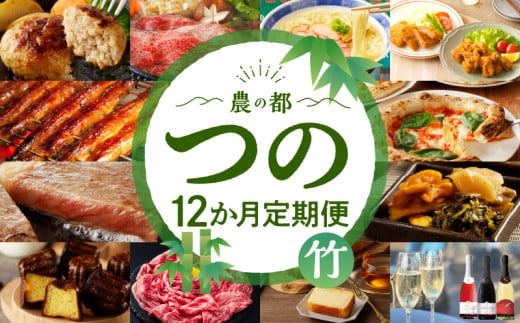 ≪12か月お楽しみ定期便≫都農町定期便(竹) 肉 加工品 デザート 国産