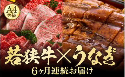 【定期便 6回コース】 蒲焼き鰻 と 肉の鉄板コース 定期便 【うなぎ＆若狭牛】【牛肉 牛 国産牛 国産 和牛 お肉 ブランド牛 焼肉 鰻のかば焼き ウナギ 黒毛和種 黒毛和牛 A4等級クラス 人気】 [I-3201] 205463 - 福井県坂井市