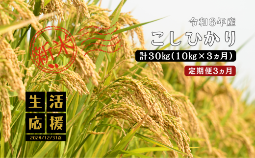 150264【令和6年産／お米定期便／3ヵ月】しまね川本 こしひかり 10kg (計30kg） 1553687 - 島根県川本町