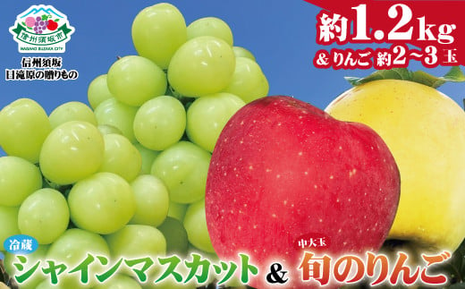 [No.5657-3847]冷蔵シャインマスカット 約1.2kg (2房)＆旬のりんご 中大玉 (約2～3玉)《信州須坂　日滝原の贈りもの》■2024発送■※11月中旬頃～12月下旬頃まで順次発送予定 1117564 - 長野県須坂市