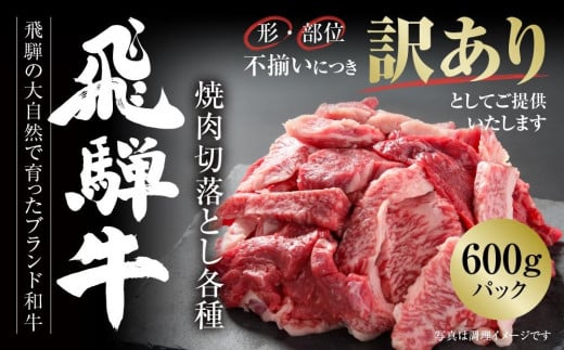 訳あり 飛騨牛 焼肉 切り落とし 600g 冷凍真空パック | 肉 お肉 切落し 不揃い 焼肉 焼き肉 やきにく 黒毛和牛 和牛 人気 おすすめ 牛肉 ギフト お取り寄せ【飛騨高山ミート MZ013】 1043107 - 岐阜県高山市