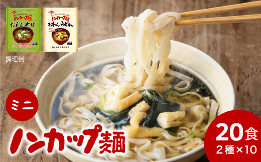 G9-04 ミニノンカップ麺 おわん麺セット20食（2種×10食） 918124 - 岐阜県関市