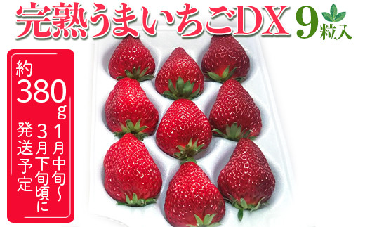 完熟うまいちごデラックス 9粒入 約380g｜いちご イチゴ 苺 フルーツ 果物 国産 茨城県産 完熟 甘い おいしい ギフト 贈答 贈り物 プレゼント お祝い ご褒美 家庭用 記念日 景品 380グラム _FR01 ※2025年1月中旬～3月下旬頃に順次発送予定