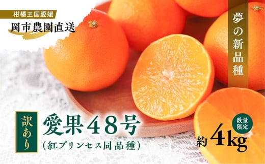 【先行予約】【数量限定】【訳あり】＼農園直送／愛媛県産愛果48号 約4kg｜柑橘 みかん ミカン 蜜柑 果物 フルーツ 愛媛県産 ※離島への配送不可 ※2025年2月下旬～3月下旬頃に順次発送予定 1521351 - 愛媛県伊方町