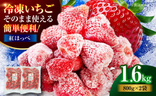 【冷凍】冷凍いちご「紅ほっぺ」800g×2パックセット 果物 フルーツ 苺 いちご 大粒 紅ほっぺ いちご冷凍 いちご 先行予約 イチゴ 愛媛県大洲市/沢井青果有限会社 [AGBN041] 787256 - 愛媛県大洲市