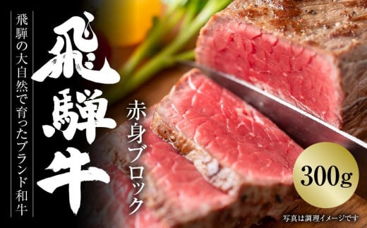 飛騨牛 赤身ブロック[塊] 300g 冷凍真空パック | 肉 お肉 ローストビーフ 煮込み 焼肉 焼き肉 やきにく BBQ 黒毛和牛 和牛 人気 おすすめ 牛肉 ギフト お取り寄せ【飛騨高山ミート MZ020】 1213673 - 岐阜県高山市