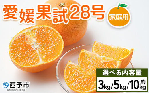 紅まどんなと同品種! 愛媛果試28号 家庭用 約3kg/5kg/10kg 訳あり わけあり 自宅用 果物 フルーツ みかん ミカン 蜜柑 オレンジ えひめかし 選べる 食べて応援 特産品 柑橘園柴田 愛媛県 西予市[常温]