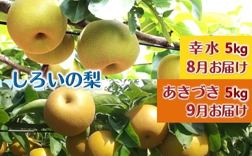 【先行予約】しろいの梨２品種セット 幸水とあきづき 各5kg 1550165 - 千葉県白井市