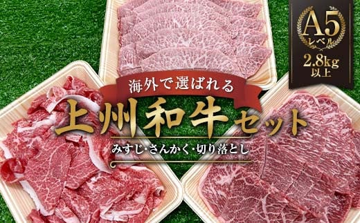 海外で選ばれる上州和牛セット プロが肉市場で厳選！ A5レベルの上州和牛セット（部位:みすじ・さんかく・切り落とし） 2.8kg以上 牛 牛肉 ビーフ 肉 食品 F21K-447 1698421 - 群馬県下仁田町