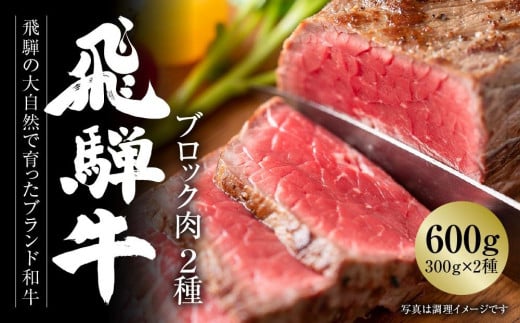 飛騨牛 ブロック肉[塊]2種  600g（霜降り/赤身 300g×2種） 冷凍真空パック | 肉 お肉 ローストビーフ 煮込み 焼肉 焼き肉 やきにく BBQ 黒毛和牛 和牛 食べ比べ 人気 おすすめ 牛肉 ギフト お取り寄せ【飛騨高山ミート MZ023】 1213676 - 岐阜県高山市