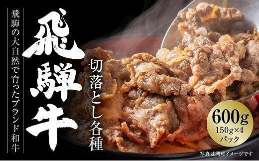 飛騨牛 切落とし 600g（約150g×4パック） 冷凍真空パック | 肉 お肉 すき焼き すきやき しゃぶしゃぶ 黒毛和牛 和牛 個包装 小分け 人気 おすすめ 牛肉 ギフト お取り寄せ【飛騨高山ミート MZ001】 996576 - 岐阜県高山市