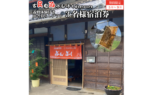 古民家民泊ぶんぶく 3名様宿泊券 田舎暮らし＋養蜂体験付きプラン 1548020 - 徳島県勝浦町