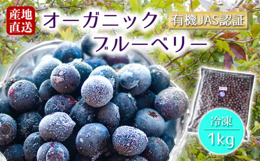 有機JAS認証【冷凍】オーガニックブルーベリー 1kg  オーガニック JAS認証 甘味 酸味 人気 美味しい セット 冷たい 調理 デザート 簡単 お手軽 熊本県 阿蘇市 1549740 - 熊本県阿蘇市