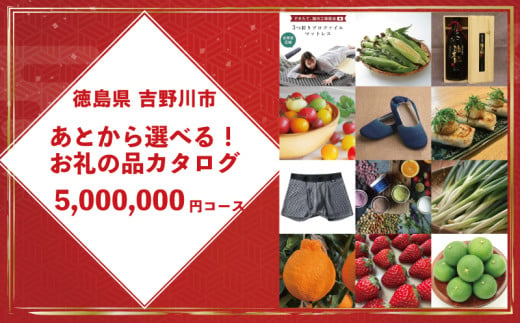 ゆっくりえらべる カタログ 500万円 コース あとから選べる 鮮魚 肉 米 酒 定期便 スイーツ フルーツ 選べる ギフト セレクト 【 徳島県 吉野川市 】 1757001 - 徳島県吉野川市