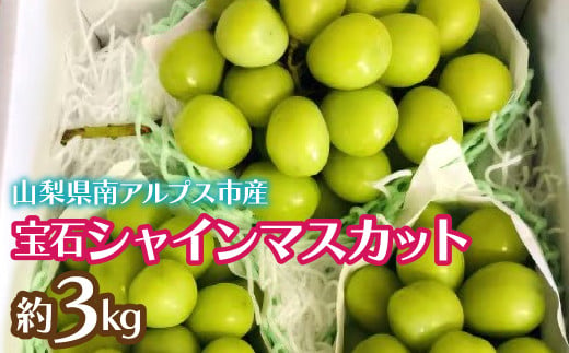 【2025年発送先行予約】完熟 宝石シャインマスカット約3kg ALPCZ005 1549661 - 山梨県南アルプス市