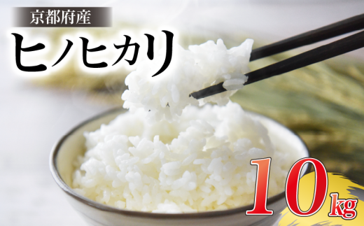 ヒノヒカリ10kg 令和6年産 白米 米 精米 お米 おこめ ふるさと納税米 ご飯 ごはん 国産 コメ こめ 美味しい 京田辺市 京都 京都村康 1780115 - 京都府京都府庁