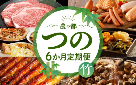 ≪6か月お楽しみ定期便≫都農町定期便(竹) 肉 加工品 鰻 国産