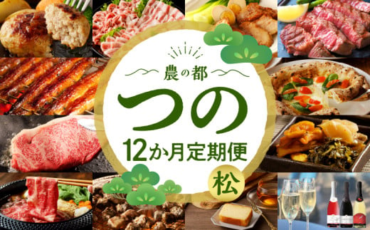 ≪12か月お楽しみ定期便≫都農町定期便(松) 肉 加工品 デザート 国産