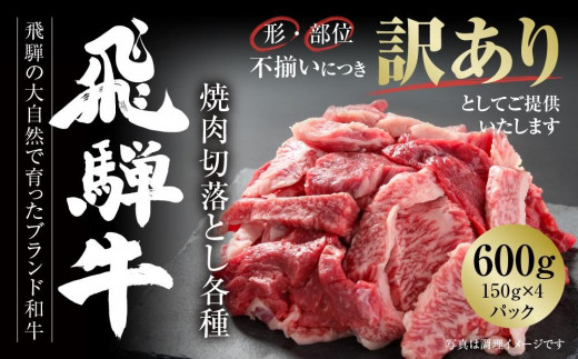 訳あり 飛騨牛 焼肉 切落とし 600g（150g×4パック） 冷凍真空パック | 肉 お肉 焼肉 焼き肉 やきにく 黒毛和牛 和牛 個包装 小分け 人気 おすすめ 牛肉 ギフト お取り寄せ【飛騨高山ミート MZ014】 1043118 - 岐阜県高山市