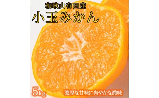 有田の小粒みかん 約5kg (S～3Sサイズ混合)【2024年12月初旬から2025年1月末日頃発送予定】【UT134】 1549047 - 和歌山県かつらぎ町