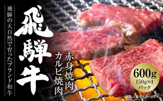 飛騨牛 焼肉 厳選2種盛（赤身・カルビ） 600g（150g×各2パック） 冷凍真空パック | 肉 お肉 焼肉 焼き肉 やきにく 黒毛和牛 和牛 個包装 小分け 人気 おすすめ 牛肉 ギフト お取り寄せ【飛騨高山ミートMZ008】 996583 - 岐阜県高山市