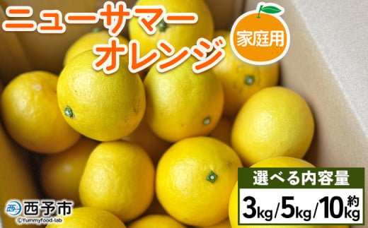 ニューサマーオレンジ 家庭用 約3kg/5kg/10kg 訳あり わけあり 自宅用 果物 フルーツ みかん ミカン 蜜柑 オレンジ 柑橘 にゅーさまーおれんじ 選べる 食べて応援 特産品 柑橘園柴田 愛媛県 西予市[常温]