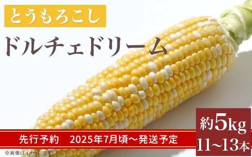 324 とうもろこし ドルチェドリーム 約5kg 11～13本 朝採れ バイカラー 黄 白 茨城 先行予約 2025年7月頃～発送予定 943878 - 茨城県茨城町