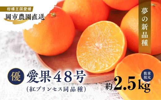 [先行予約][数量限定][優]＼農園直送/愛媛県産愛果48号 約2.5kg|柑橘 みかん ミカン 蜜柑 果物 フルーツ 愛媛県産 ※離島への配送不可 ※2025年2月下旬〜3月下旬頃に順次発送予定