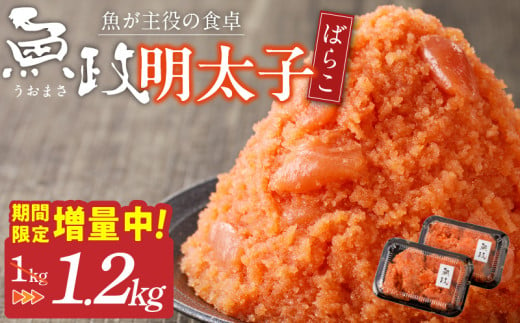 [期間限定 増量中]魚が主役の食卓 魚政 明太子ばらこ1キロ(600g×2)_明太子ばらこ 魚政明太子 辛子明太子 1.2kg 魚 主役 食卓 魚政 ご飯 お供 パスタ サラダ 料理 美味しい 便利 すけとうだら 冷凍 福岡県 久留米市 ボーテックス お取り寄せ お取り寄せグルメ 送料無料_Cs112