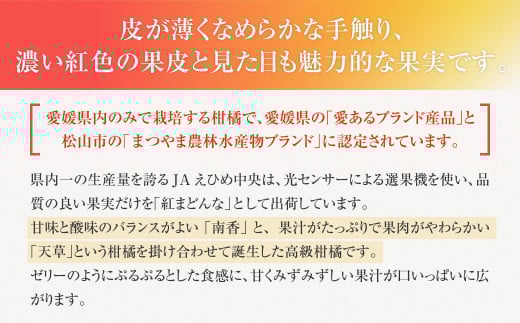 「愛媛が誇るブランド柑橘」 紅まどんな 先行予約 数量限定 約3kg